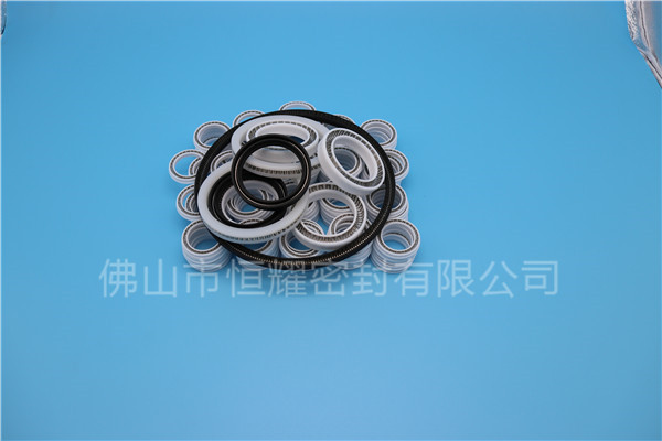 HOB、HVB孔用泛塞封 (6)