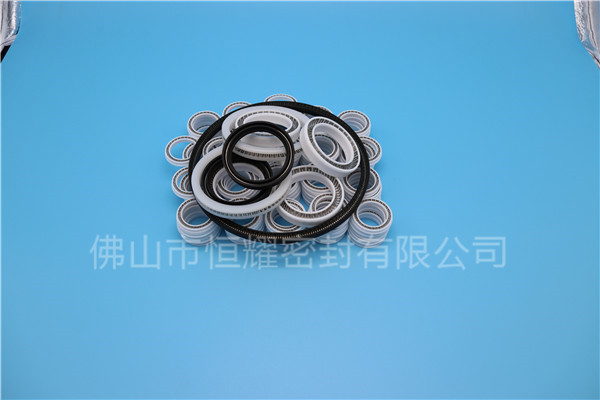 HOB、HVB孔用泛塞封 (7)