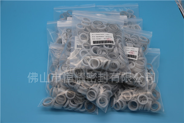 HOB、HVB孔用泛塞封 (17)