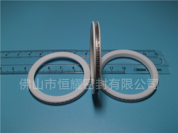 HVF、HVG端面內、外向泛塞封 (10)