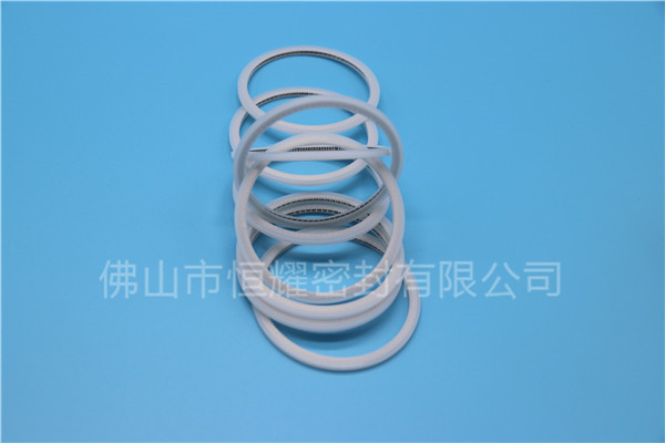 HVF、HVG端面內、外向泛塞封 (15)