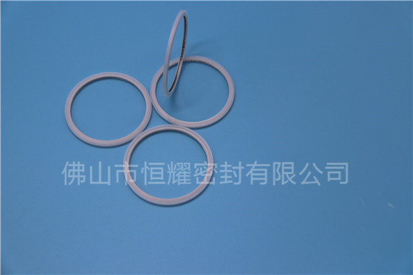 HVF、HVG端面內、外向泛塞封 (20)