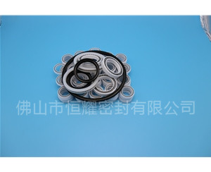 HOB、HVB孔用泛塞封 (6)