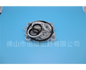 HOB、HVB孔用泛塞封 (7)