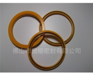 HOD、HVD旋轉泛塞封 (8)