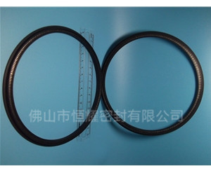 HOD、HVD旋轉泛塞封 (13)