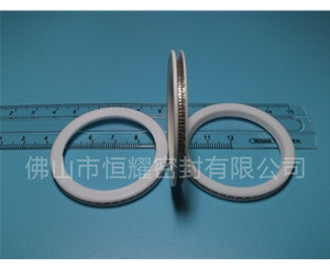 HVF、HVG端面內、外向泛塞封 (10)