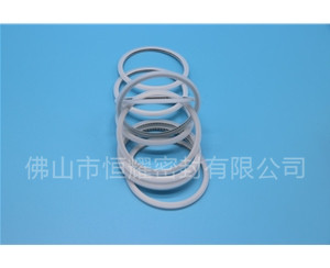 HVF、HVG端面內、外向泛塞封 (15)