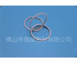 HVF、HVG端面內、外向泛塞封 (21)